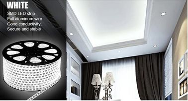 El color blanco caliente llevó las luces de tira 12v/luces de tira llevadas al aire libre IP65 impermeable