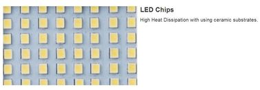 La prenda impermeable del estadio de IP65 10w 700lm llevó luces de inundación con el vidrio moderado, cuerpo de aluminio negro