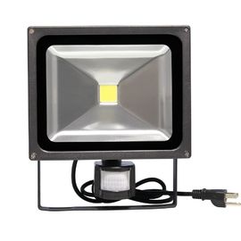 10 vatios 700lm refrescan las luces de inundación llevadas blancas/las luces de inundación llevadas externo económicas de energía